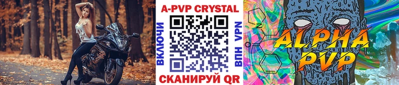 А ПВП СК КРИС  Андреаполь 