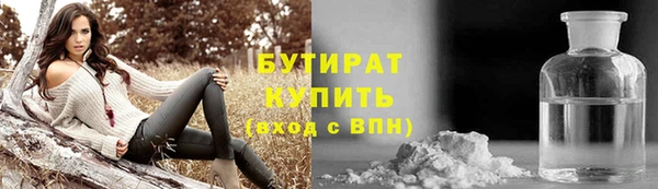 гашик Алексин
