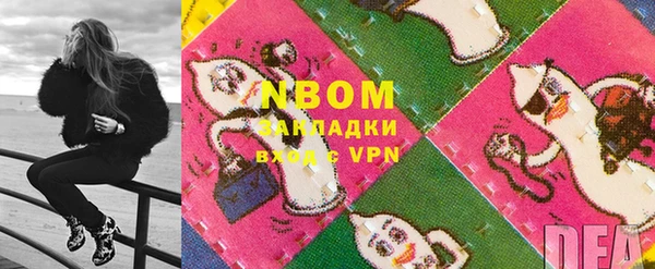 гашик Алексин
