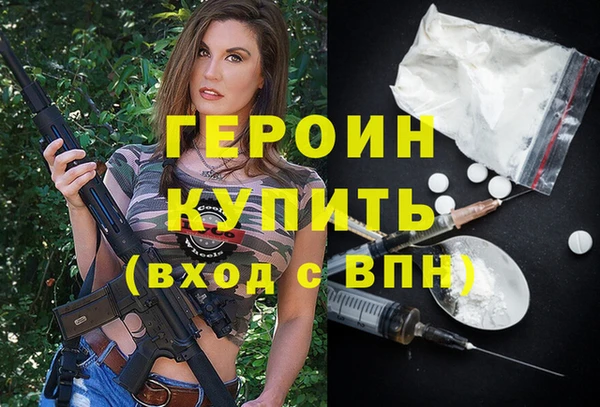 гашик Алексин