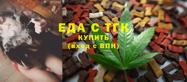 гашик Алексин