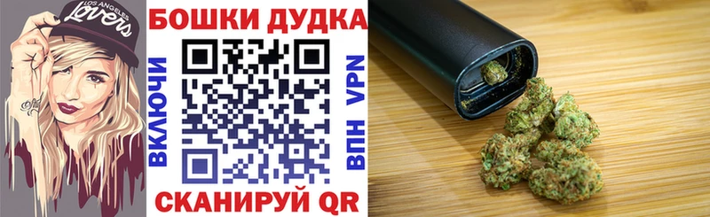 Канабис планчик  блэк спрут онион  Андреаполь 